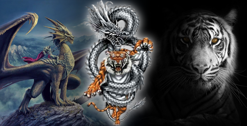 Dragon-Tiger-Online-Peraturan-Strategi-dan-Cara-Menang